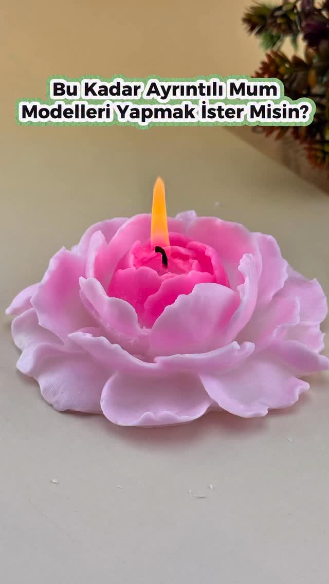 626655109 2199501587528988 3269551270956181237 n