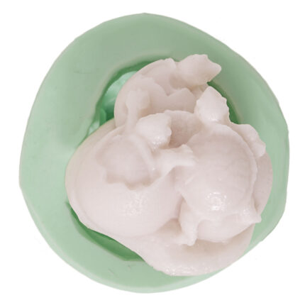 Yumurtadan çıkan kaplumbağalar silikon kalıp