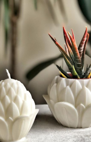 Silikon kalıp ile yapılmış kaktüs saksısı ve mum. Silikon kalıp ürünleri.