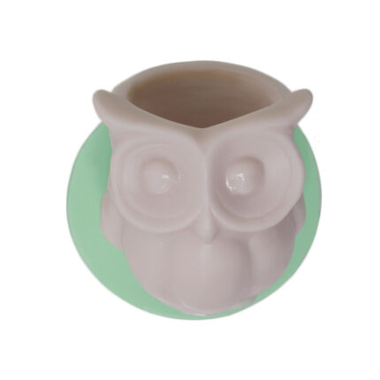 Baykuş küçük saksı silikon kalıbı ile yapılmış sevimli baykuş saksı.
