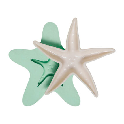 Deniz yıldızı tabak silikon kalıbı ve kalıptan çıkmış deniz yıldızı obje.