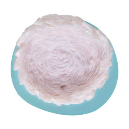 Kuş yuvası silikon kalıbı ile yapılmış dekoratif obje. Bahçe temalı sabun yapımı için ideal.