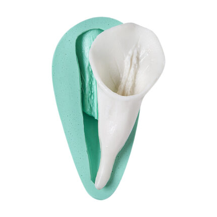 Zambak çiçeği silikon kalıbı: Kurdelya Zarif Zambak. Kokulu taş, sabun, reçine döküm için bahçe bitkisi masa süsü kalıbı.