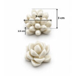 2 Farklı Model Küçük Sukulent Silikon Kalıbı (3×3×2.5 cm – KK-2260) - Görsel 2