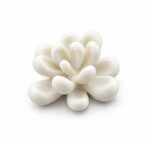 Tombul Yapraklı Sukulent Silikon Kalıbı (4.5×4.5×2.5 cm – KK-2263) - Görsel 4