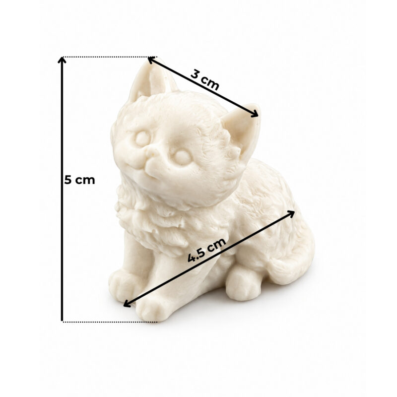 oturan yavru kedi olculu obje